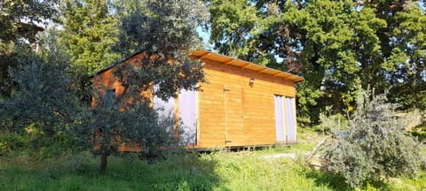 Agricampeggio la casa di Nicla Campground/ 
RV Resort in Tuscany