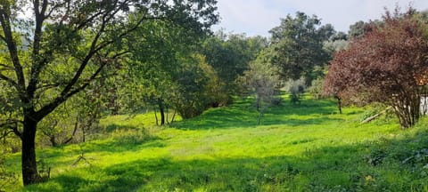 Agricampeggio la casa di Nicla Campground/ 
RV Resort in Tuscany