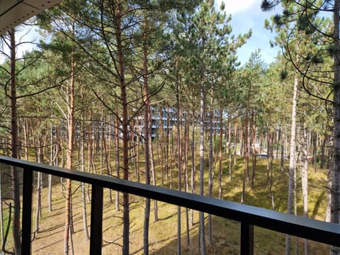 Apartament na Wydmach Shelter Apartment in West Pomeranian Voivodeship, Poland