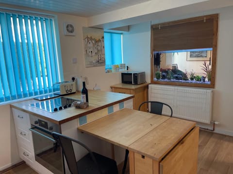 Kitchen or kitchenette, microwave, stove, toaster