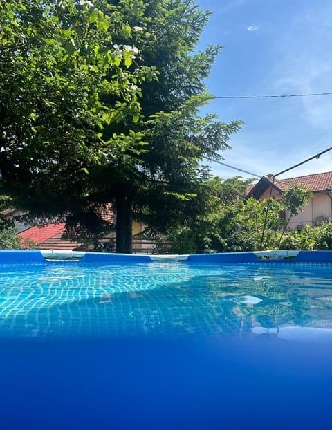 Day, Pool view, Swimming pool