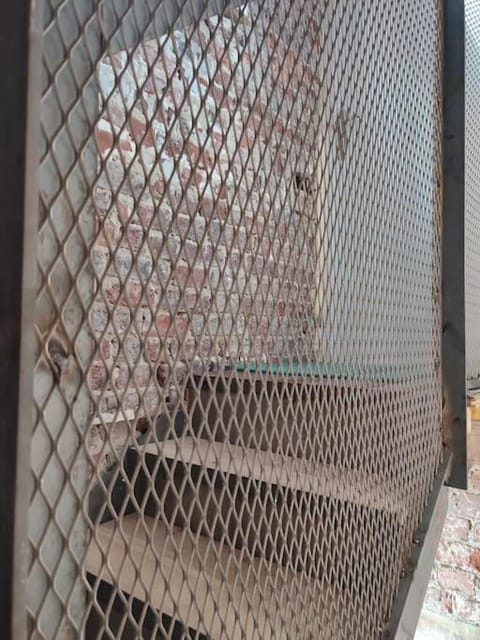 La petite Madeleine Paisible - Contemporain - 2Ch Apartment in Lille