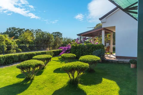 Property building, Garden