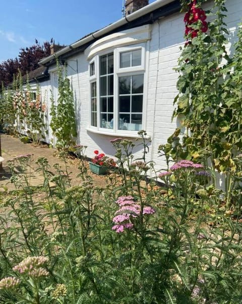 Field Cottage House in Whittlesey