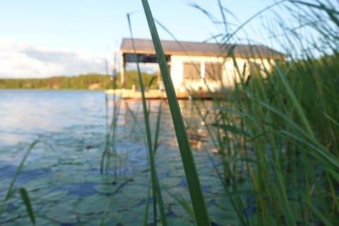 Natural landscape, River view
