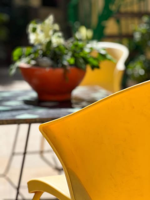 Day, Garden, Balcony/Terrace, Garden view