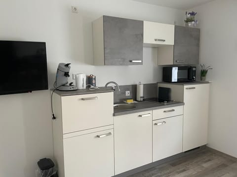 Ferien im Reblaus Apartment in Lindau