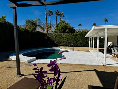 Patio, Natural landscape, Garden, Garden view, Pool view, Swimming pool, sunbed