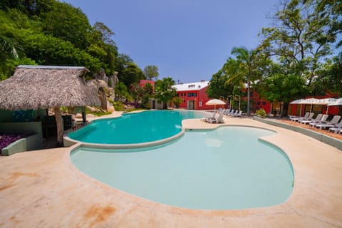 Pool view, Swimming pool