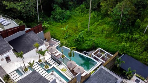 Natural landscape, Bird's eye view, Pool view, Swimming pool, internet, sunbed