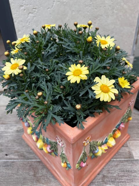 Sunset House Apartment in Chioggia