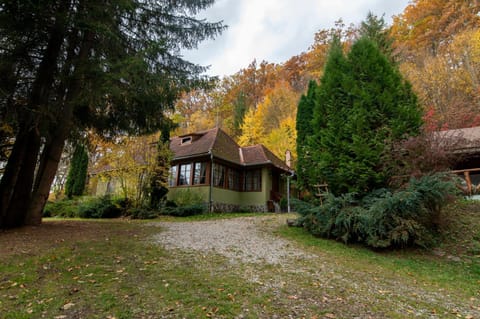 Property building, Day, Garden