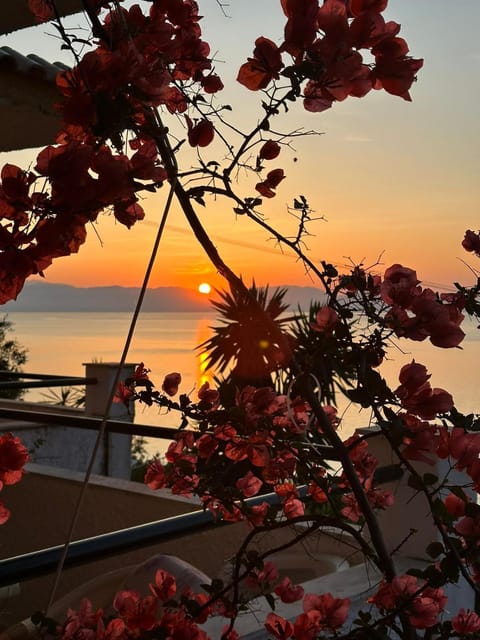 Natural landscape, Sunset