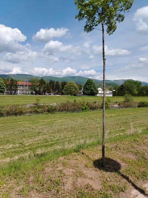 Apartman Branković Pirot-Zapadni Kej 58 Apartment in Serbia