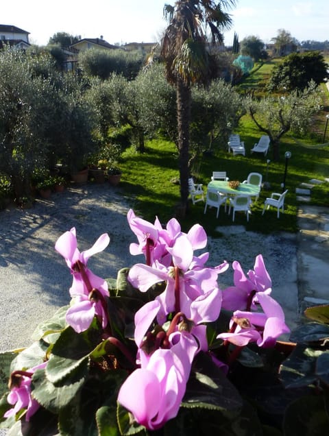 Inner courtyard view