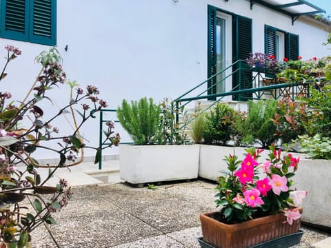 CASA ISMA Apartment in Cecina