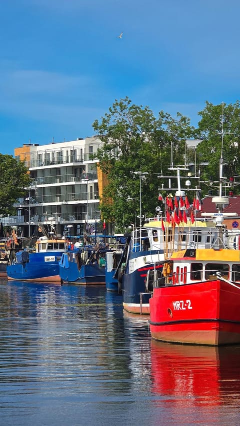 Art Boulevard Apartment in West Pomeranian Voivodeship, Poland