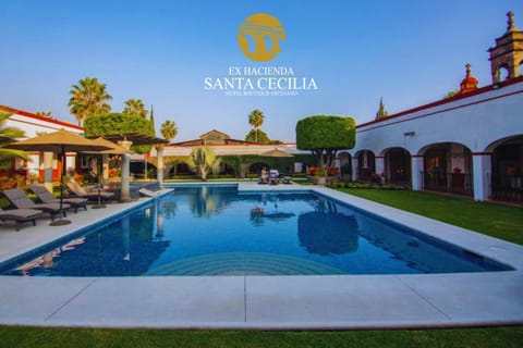 Property building, Day, Swimming pool, sunbed