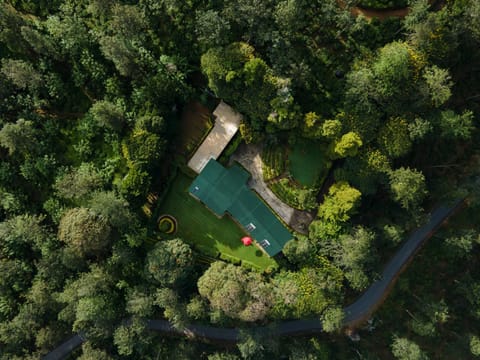 Bird's eye view, Garden