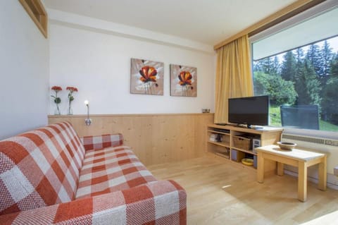 Wiesberger 62 Top 6 Apartment in Salzburgerland