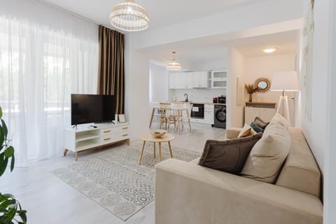 City Center Accommodation 103 Apartment in Timiș County