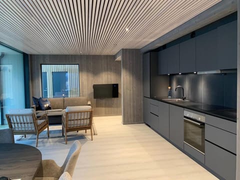 Kitchen or kitchenette, Living room, Seating area, oven, stove, kitchen