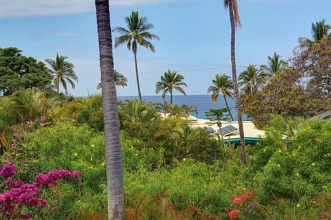 WAILEA EKAHI, #22B condo Apartment in Wailea