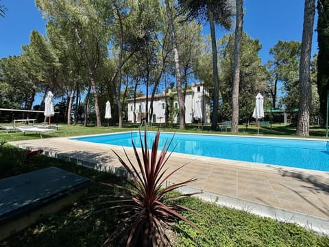 Garden, Garden view, Swimming pool