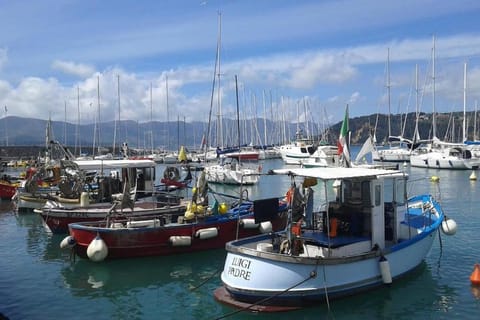 Nearby landmark, Day, Neighbourhood