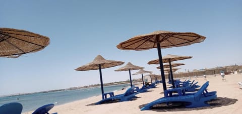 Day, Beach, sunbed
