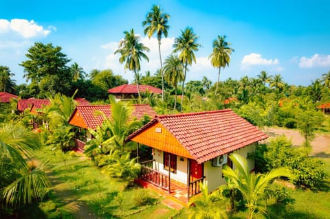 Property building, Garden, Garden view