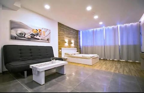Living room, Photo of the whole room, Seating area