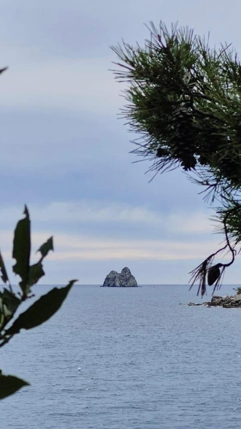 Nearby landmark, Natural landscape