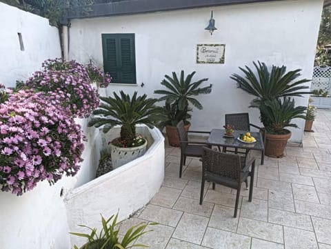 RELAX MARGHERITA Apartment in Piano di Sorrento