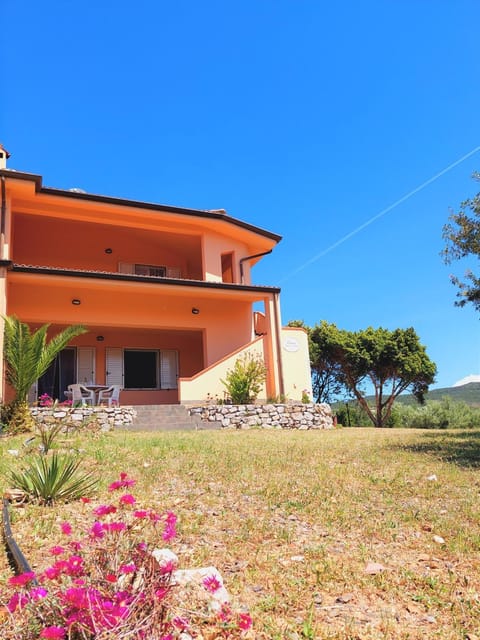 Property building, Garden, Garden view