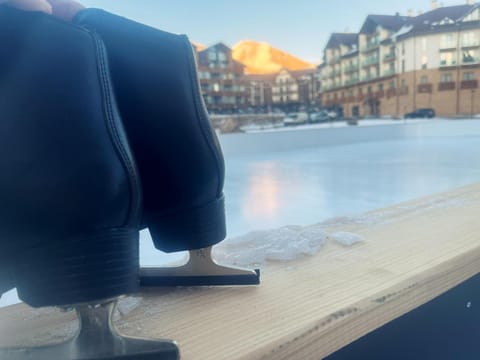 Property building, Winter, Mountain view