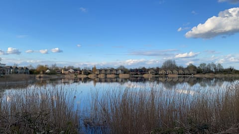 Natural landscape, Lake view