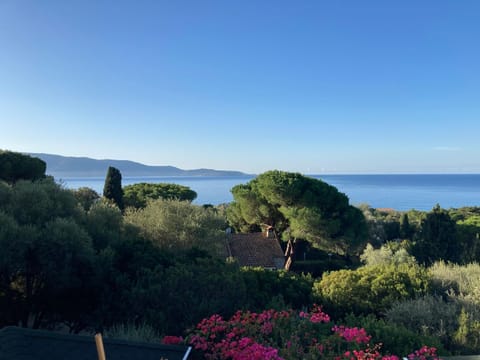 Sea view