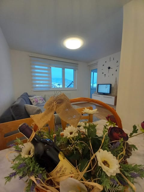 Apartman Jovana Pale Apartment in Federation of Bosnia and Herzegovina