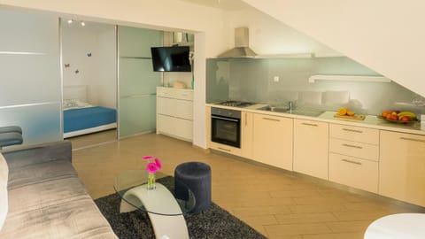 TV and multimedia, Kitchen or kitchenette, pet friendly, stove