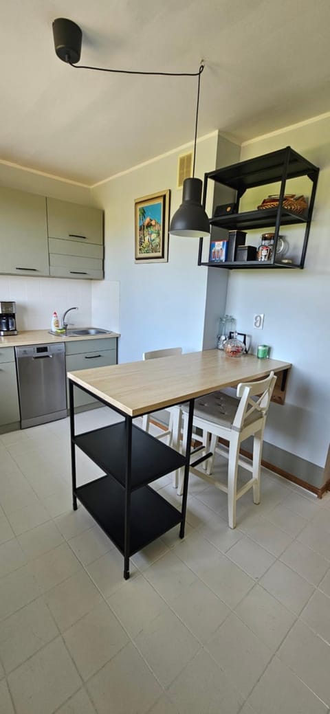 Kitchen or kitchenette, kitchen