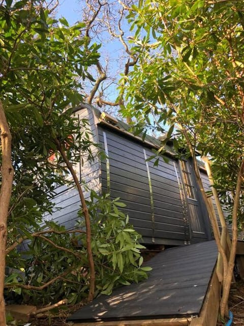 Waterside Cader Cabin with Hot Tub Cabin in Wales