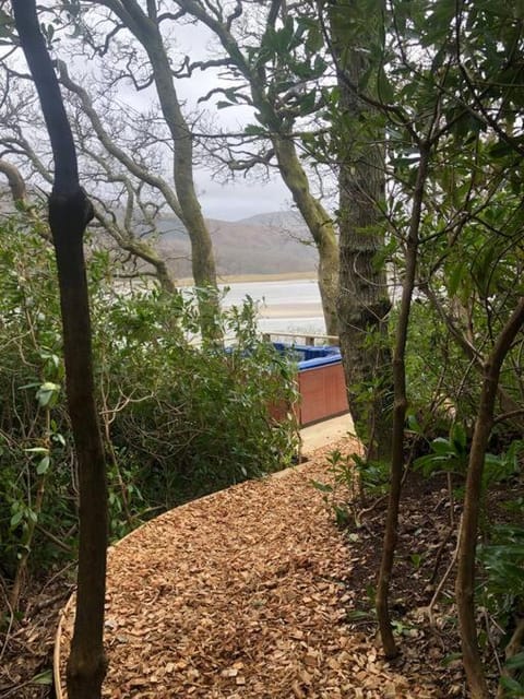 Waterside Cader Cabin with Hot Tub Cabin in Wales