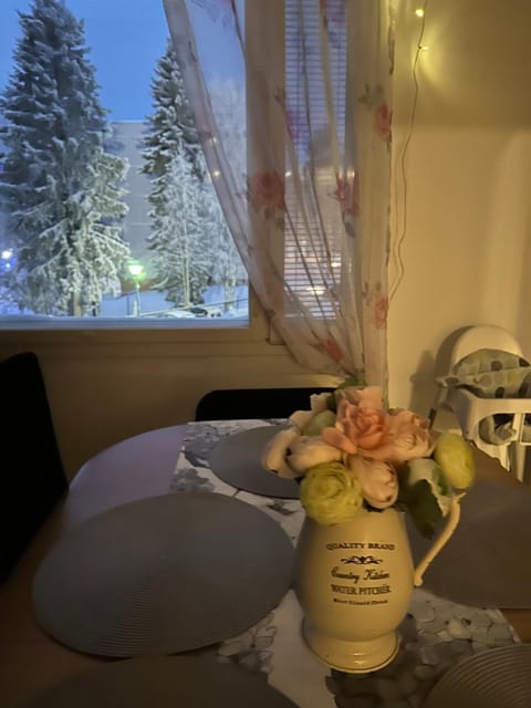 HILLAPOLUN 3 rooms APARTMENS Rovaniemi Apartment in Rovaniemi