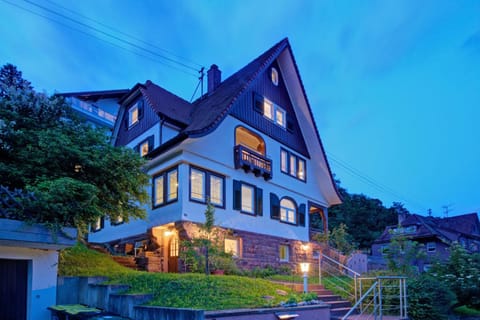 Property building, Night, Garden view
