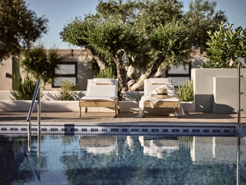 Patio, Garden, Swimming pool, sunbed