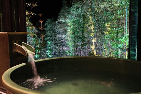 Night, Natural landscape, Garden, Hot Tub, Garden view