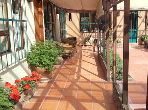 Property building, Day