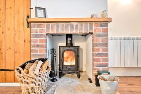 Winter, Living room, fireplace