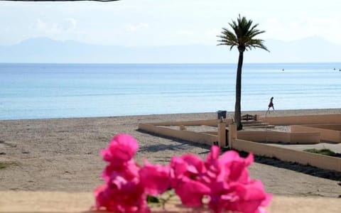 People, Natural landscape, Beach, Sea view